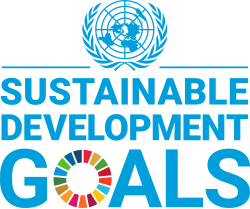 United Nations Sustainable Development Group logo